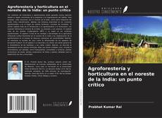 Copertina di Agroforestería y horticultura en el noreste de la India: un punto crítico