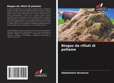 Capa do livro de Biogas da rifiuti di pollame 