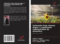 Buchcover von Całkowita fuzja rdzenia Angra I i uwolnienie radionuklidów do atmosfery