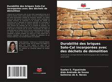 Обложка Durabilité des briques Solo-Cal incorporées avec des déchets de démolition