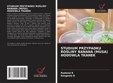 Buchcover von STUDIUM PRZYPADKU ROŚLINY BANANA (MUSA) HODOWLA TKANEK