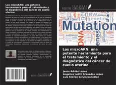 Los microARN: una potente herramienta para el tratamiento y el diagnóstico del cáncer de cuello uterino的封面