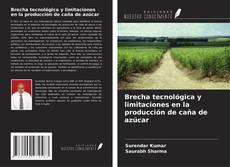 Capa do livro de Brecha tecnológica y limitaciones en la producción de caña de azúcar 