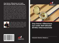 Обложка Una breve riflessione sul ruolo dell'attuale diritto internazionale