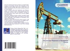 Обложка Oil and Gas Potential in Northwest Kenya