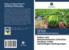 Anbau von Wassermelonen (Citrullus lanatus) unter salzhaltigen Bedingungen的封面