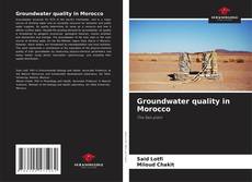 Bookcover of Groundwater quality in Morocco