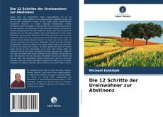 Die 12 Schritte der Ureinwohner zur Abstinenz kitap kapağı