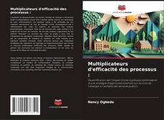Couverture de Multiplicateurs d'efficacité des processus :
