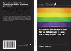 La homosexualidad entre los sudafricanos negros: un enfoque psicosocial kitap kapağı