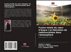 Bookcover of Fusion totale du cœur d'Angra I et libération de radionucléides dans l'atmosphère