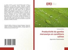 Couverture de Productivité du gombo marsawiya en conditions salines
