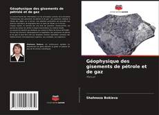 Bookcover of Géophysique des gisements de pétrole et de gaz
