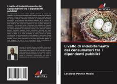 Borítókép a  Livello di indebitamento dei consumatori tra i dipendenti pubblici - hoz