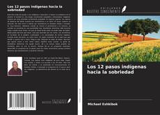 Los 12 pasos indígenas hacia la sobriedad kitap kapağı