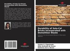 Copertina di Durability of Solo-Cal Bricks Incorporated with Demolition Waste