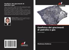 Bookcover of Geofisica dei giacimenti di petrolio e gas