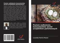 Capa do livro de Poziom zadłużenia konsumentów wśród urzędników państwowych 