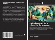 Copertina di Multiplicadores de la eficiencia del proceso: