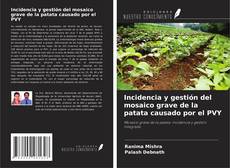 Couverture de Incidencia y gestión del mosaico grave de la patata causado por el PVY