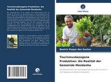 Tourismusbezogene Produktion: die Realität der Gemeinde Mendanha的封面