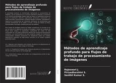 Copertina di Métodos de aprendizaje profundo para flujos de trabajo de procesamiento de imágenes