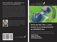 Buchcover von Efecto del NH₄⁺/NO₂- y otras facetas en el enriquecimiento de ANAMMOX Bac.