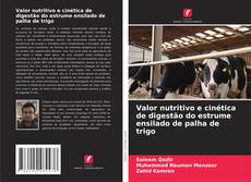 Valor nutritivo e cinética de digestão do estrume ensilado de palha de trigo的封面