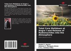 Buchcover von Total Core Meltdown at Angra I and Release of Radionuclides into the Atmosphere