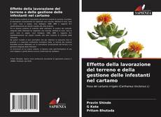 Bookcover of Effetto della lavorazione del terreno e della gestione delle infestanti nel cartamo