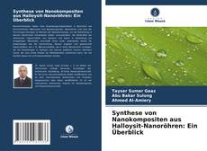 Couverture de Synthese von Nanokompositen aus Halloysit-Nanoröhren: Ein Überblick