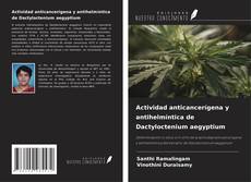 Bookcover of Actividad anticancerígena y antihelmíntica de Dactyloctenium aegyptium