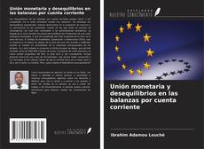 Обложка Unión monetaria y desequilibrios en las balanzas por cuenta corriente