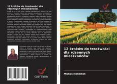 Capa do livro de 12 kroków do trzeźwości dla rdzennych mieszkańców 