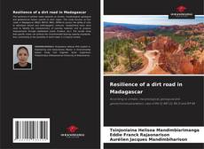 Bookcover of Resilience of a dirt road in Madagascar