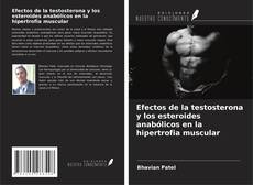 Copertina di Efectos de la testosterona y los esteroides anabólicos en la hipertrofia muscular
