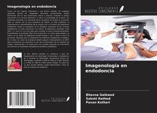 Copertina di Imagenología en endodoncia