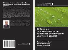 Copertina di Síntesis de nanocompuestos de nanotubos de halloysita: una visión general