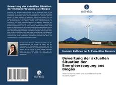 Bewertung der aktuellen Situation der Energieerzeugung aus Biogas的封面