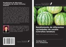 Buchcover von Rendimiento de diferentes variedades de sandía (Citrullus lanatus)