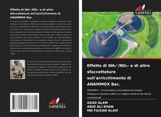 Couverture de Effetto di NH₄⁺/NO₂- e di altre sfaccettature sull'arricchimento di ANAMMOX Bac.