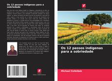 Copertina di Os 12 passos indígenas para a sobriedade