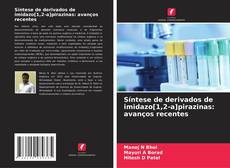 Borítókép a  Síntese de derivados de imidazo[1,2-a]pirazinas: avanços recentes - hoz