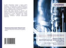 Buchcover von ЭФФЕКТИВНОЕ ФОРМИРОВАНИЕ ФИНАНСОВЫХ РЕСУРСОВ