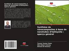 Synthèse de nanocomposites à base de nanotubes d'halloysite : aperçu général的封面