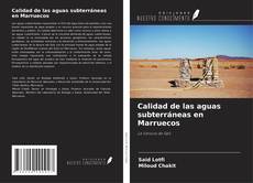 Copertina di Calidad de las aguas subterráneas en Marruecos