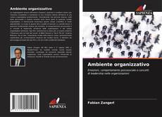 Bookcover of Ambiente organizzativo