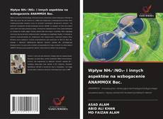 Wpływ NH₄⁺/NO₂- i innych aspektów na wzbogacenie ANAMMOX Bac.的封面