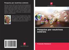 Buchcover von Pesquisa por neutrinos estéreis