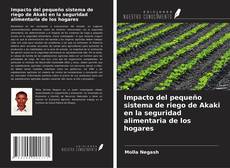 Copertina di Impacto del pequeño sistema de riego de Akaki en la seguridad alimentaria de los hogares